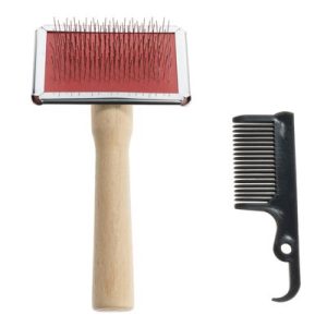 Soft Brush and Brush Cleaner