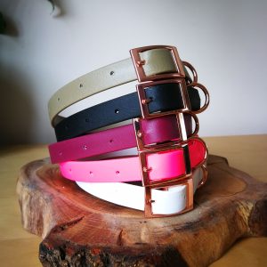 Dog Collar