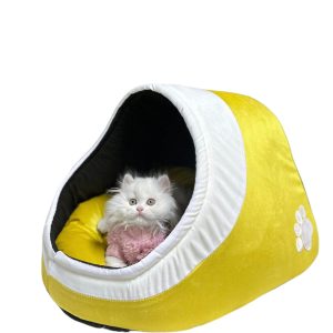 Pet Igloo – Yellow