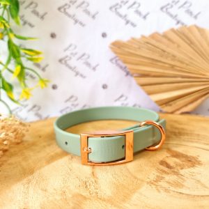 Green Dog Collar – Optional Fittings